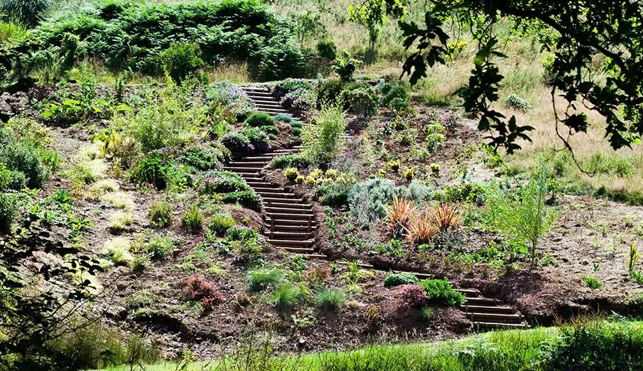 Fast Rabbit Farm Garden