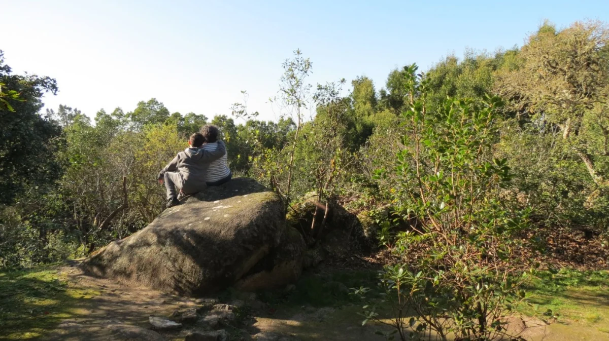 Natureza