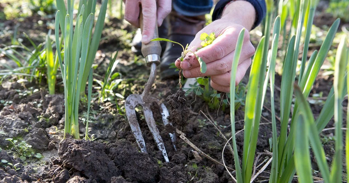 gardening