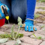 Weeding hacks