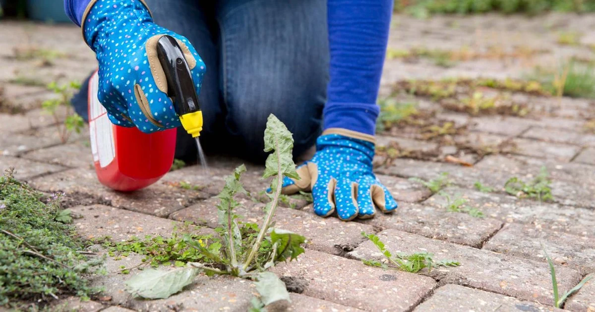 Weeding hacks