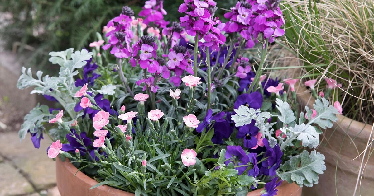 plantio de primavera