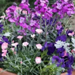 plantio de primavera