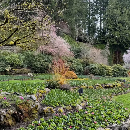 Butchart Gardens