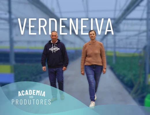 Verdeneiva