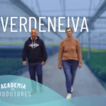 Verdeneiva