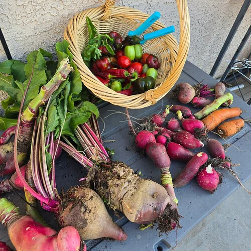 Gardening