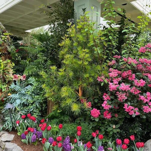 Butchart Gardens