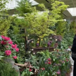Butchart Gardens