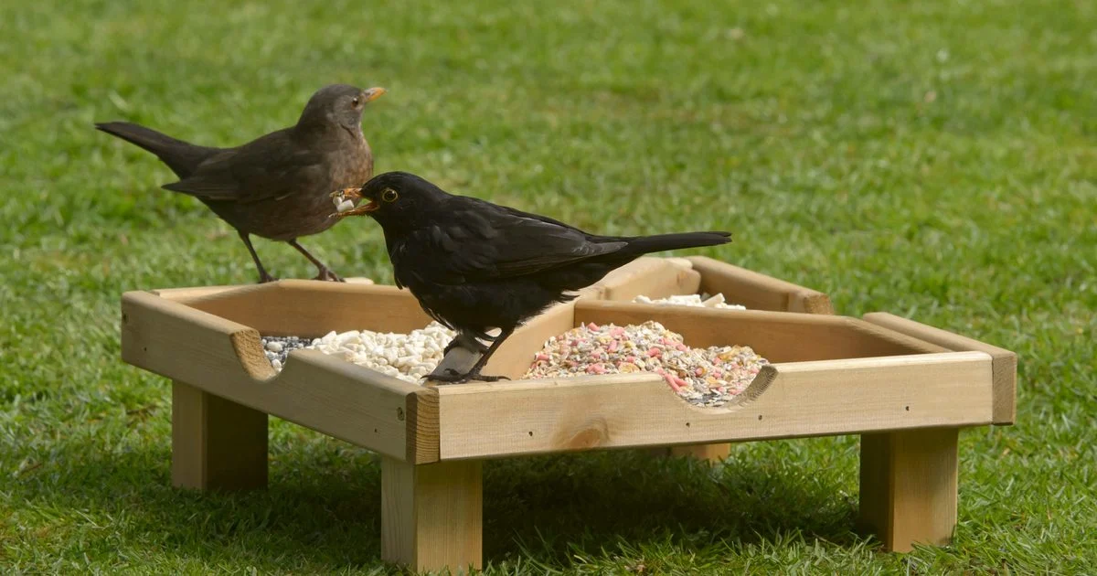 RSPB