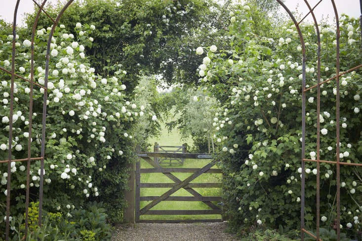 Gardening