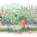 Jardinagem