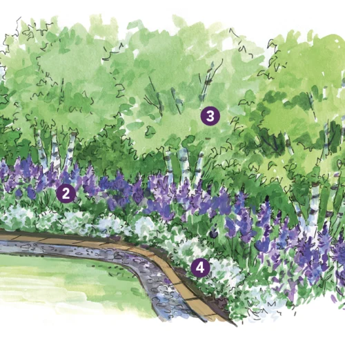Spring garden