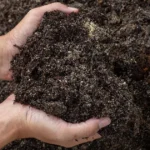 garden soil