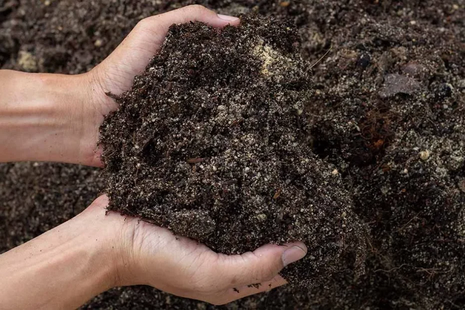 garden soil