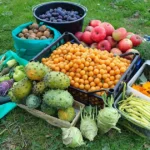 frutas incomuns