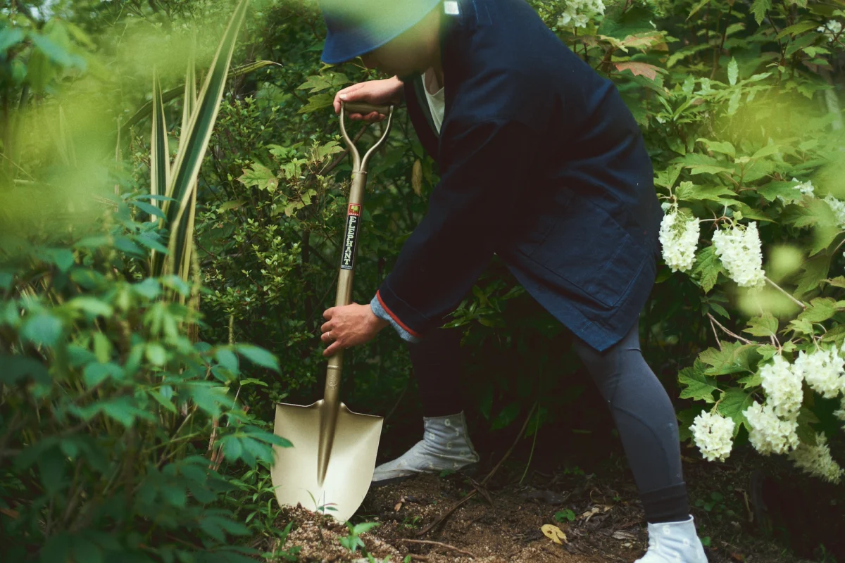 Niwaki