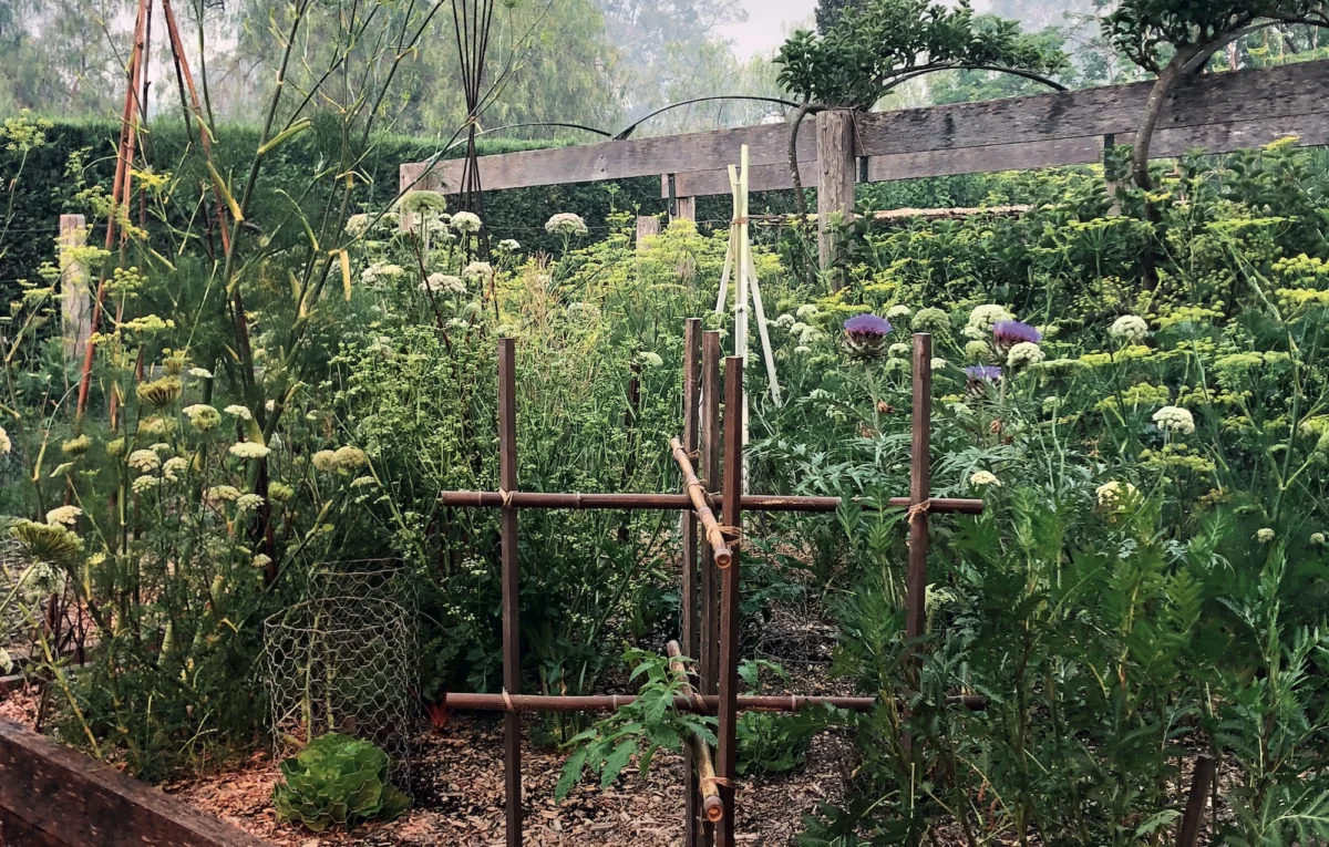 Kitchen Garden