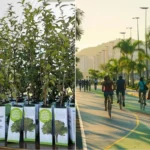 Arborização urbana