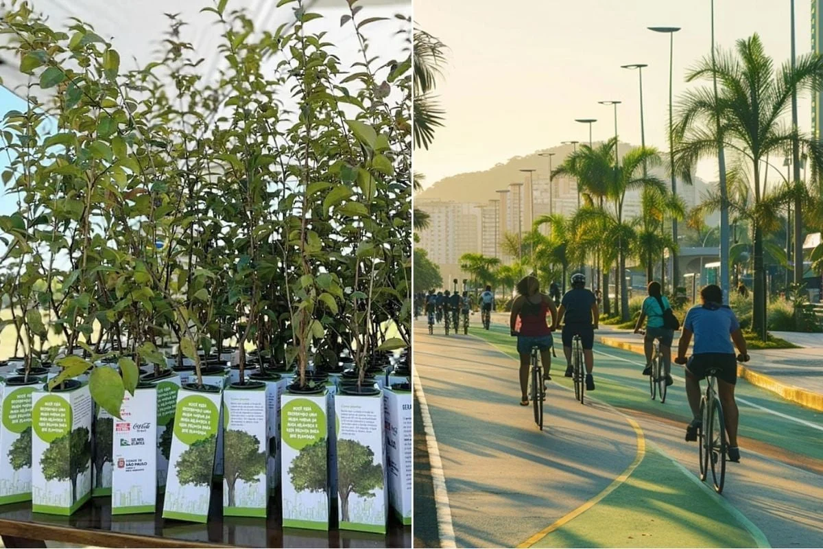 Arborização urbana