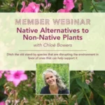 Native plants