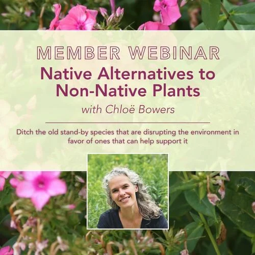 Native plants