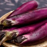 Japanese eggplant