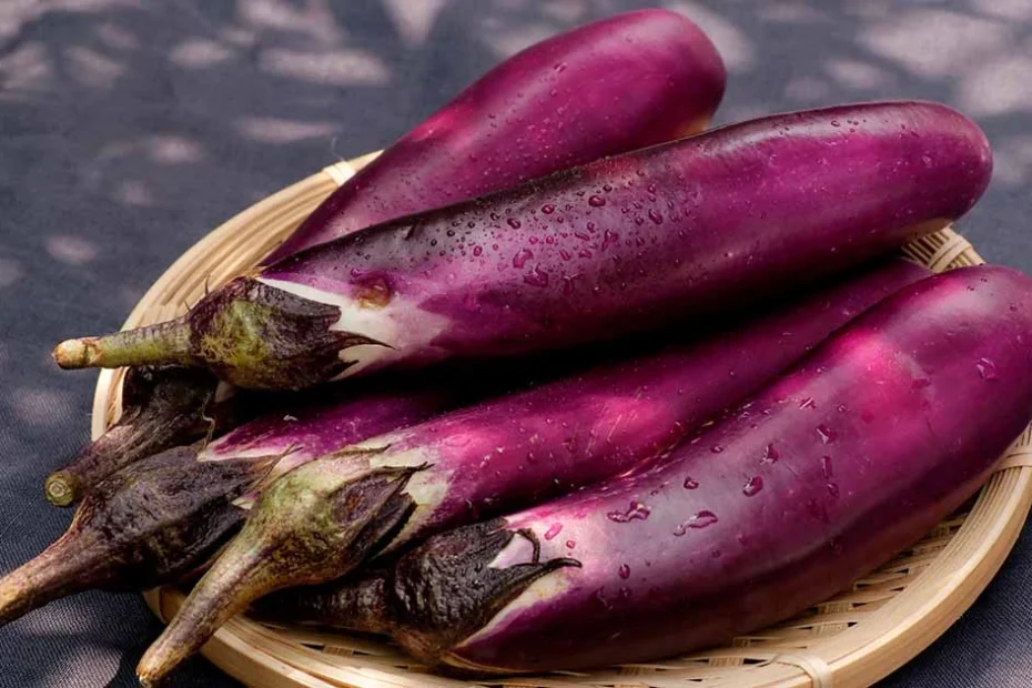 Japanese eggplant
