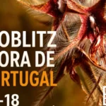 Bioblitz