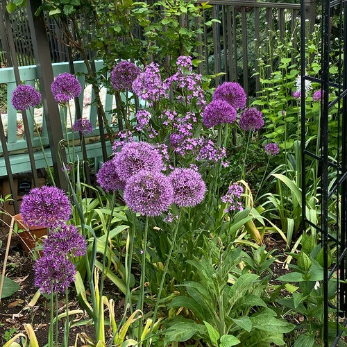 Gardening