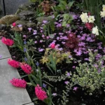 Gardening
