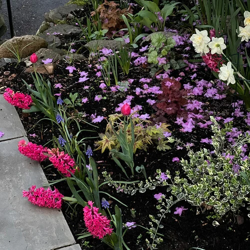 Gardening