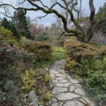 Abkhazi Garden
