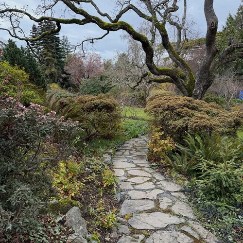Abkhazi Garden