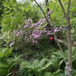 gardening