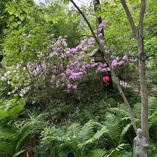 gardening