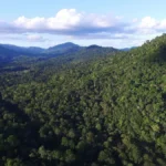 Mata Atlântica