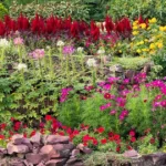 gardening