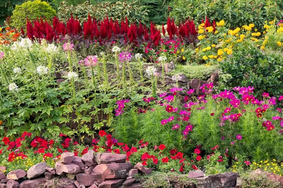 gardening