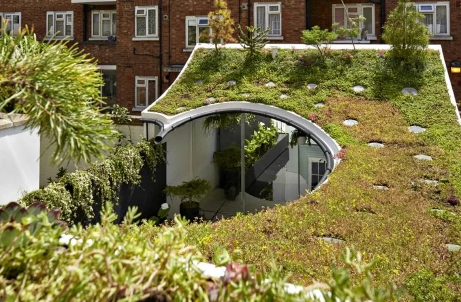 Soluções Baseadas na Natureza