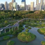 Soluções Baseadas na Natureza