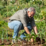 Agroecologia