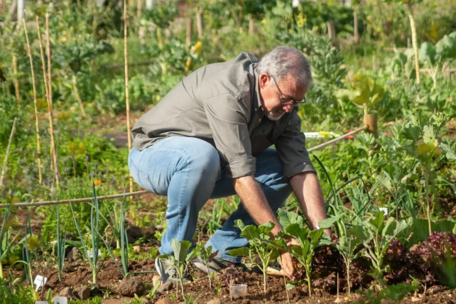Agroecologia