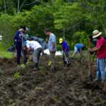 Mata Atlântica