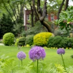 Jefferson Market Garden