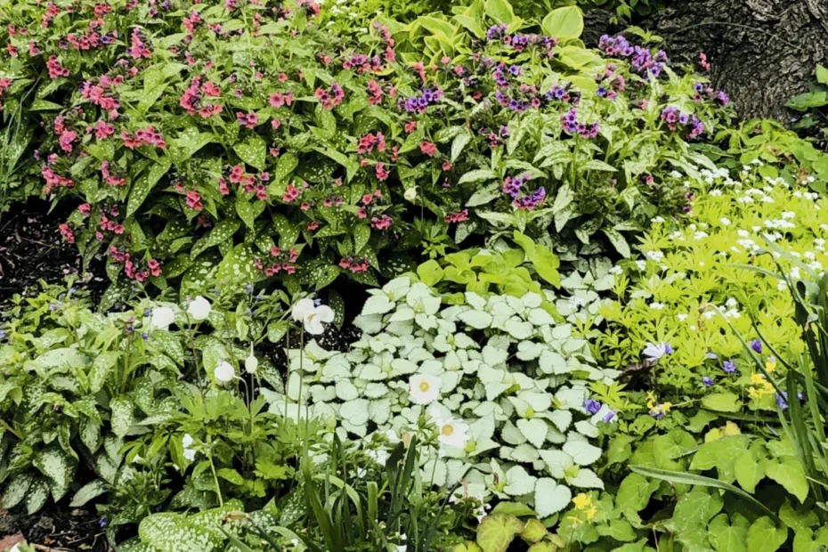 Gardening
