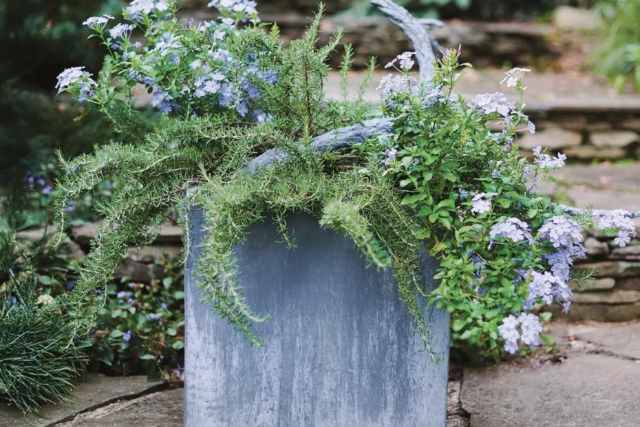 Container gardening