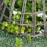 Gardening
