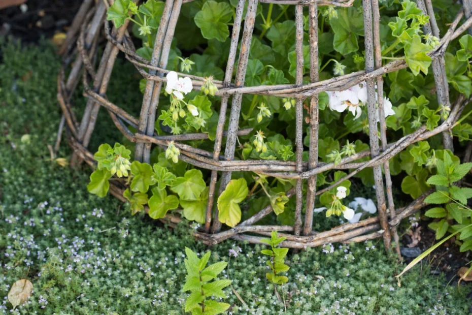 Gardening