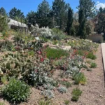 Denver Botanic Gardens